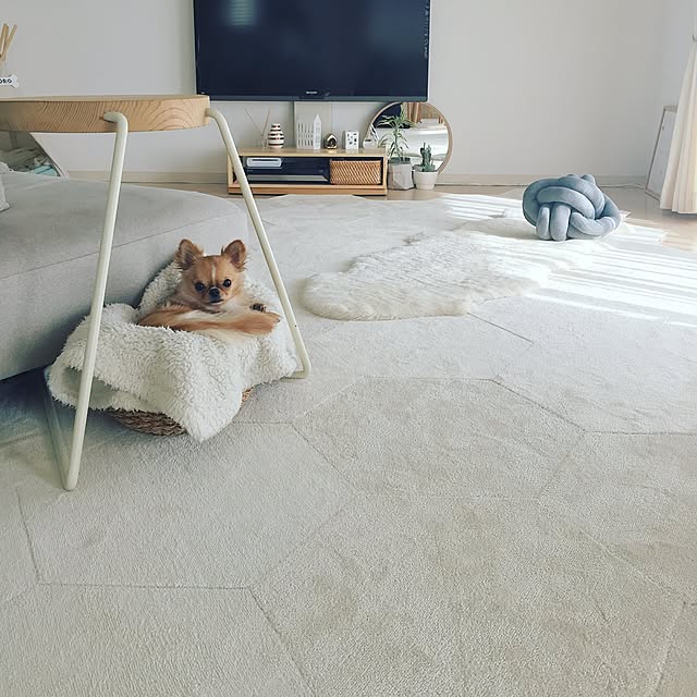 haruhinaさんの実例写真