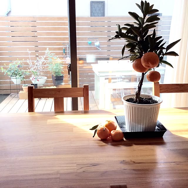 kuruさんの実例写真