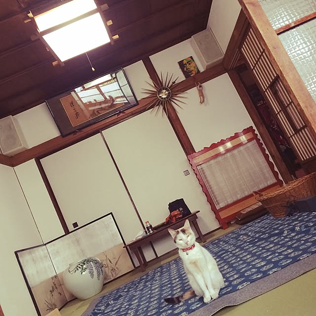 Hazukiさんの実例写真