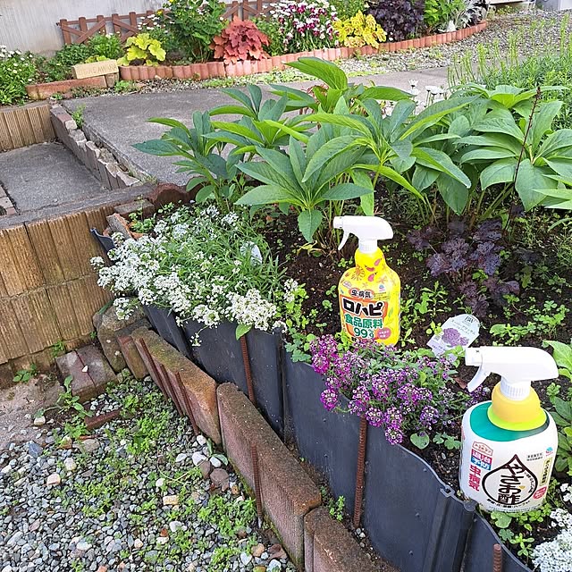 twinsさんの実例写真