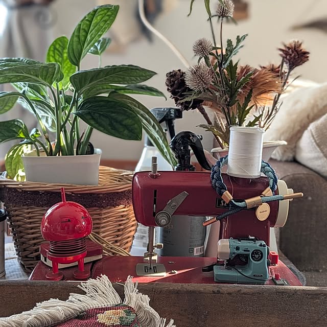 akiさんの実例写真