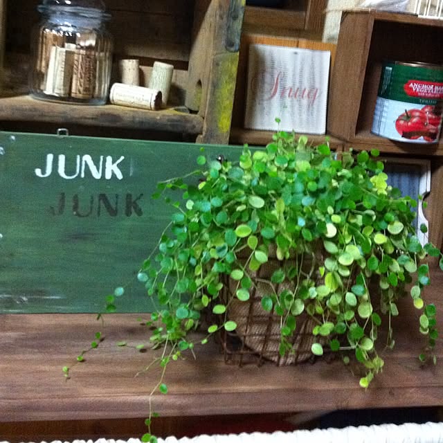 mintさんの実例写真