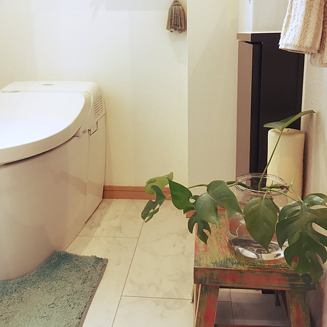 バス/トイレ/観葉植物のインテリア実例 - 2017-09-27 09:53:18