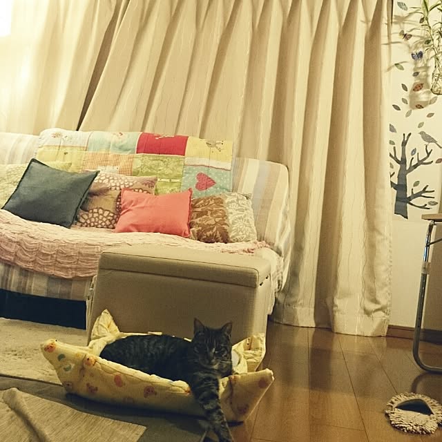 Masamiさんの実例写真