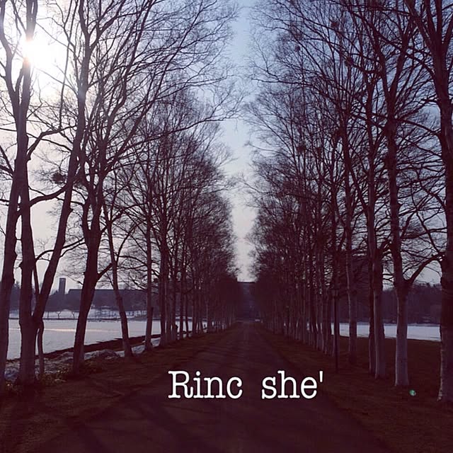 Rincsheさんの実例写真