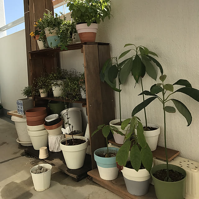 yuccoさんの実例写真