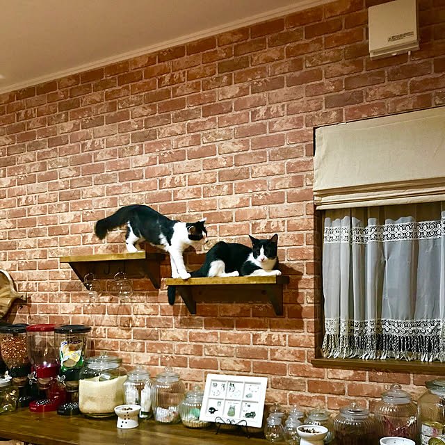 butachanさんの実例写真