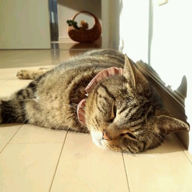 coconana165さんの実例写真