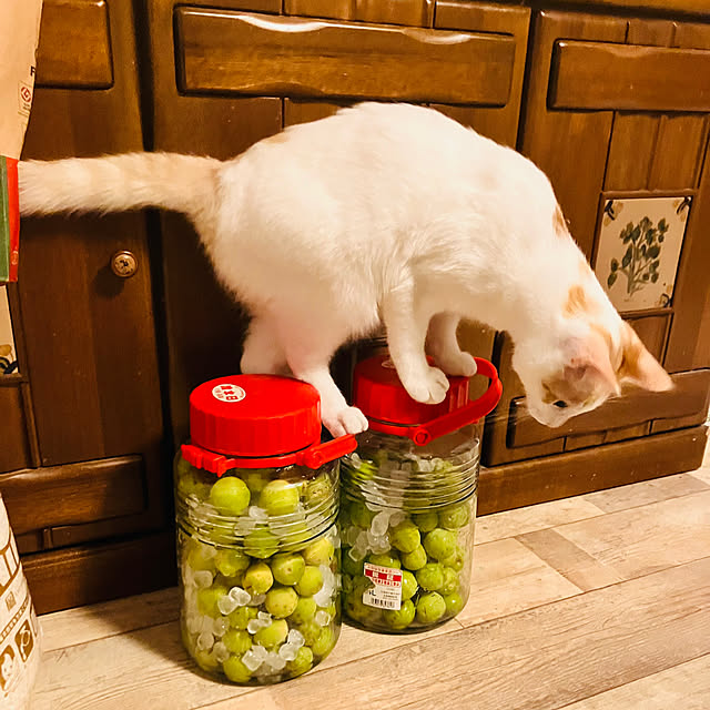 tomorinさんの実例写真