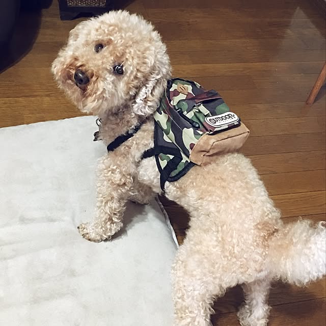 ronmaruさんの実例写真