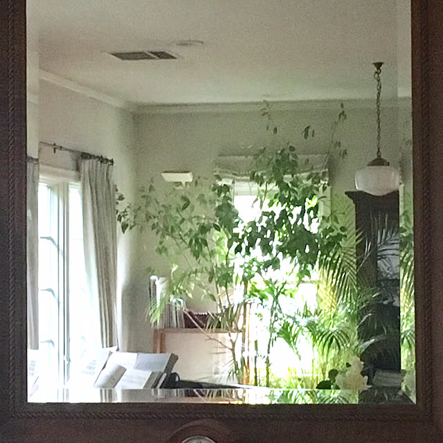 Claraさんの実例写真