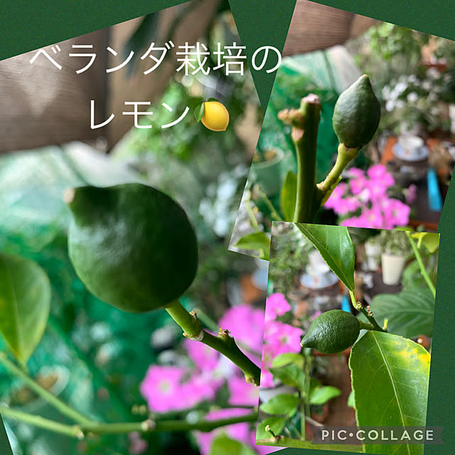 Aqettyさんの部屋