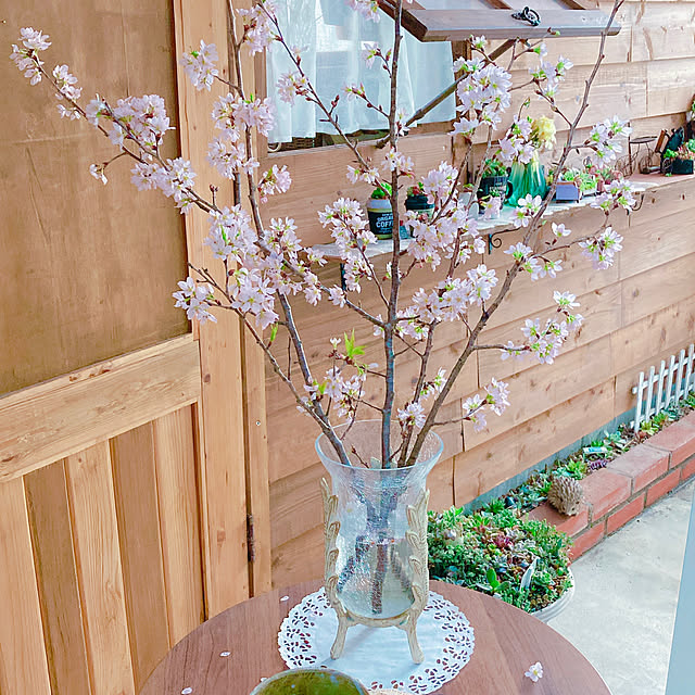 Hanakaさんの部屋