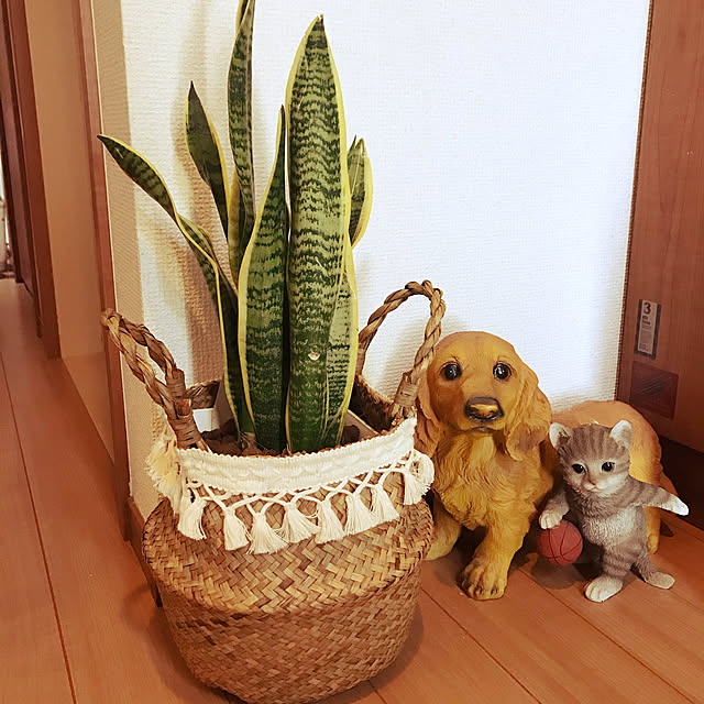 LuNahokuさんの実例写真