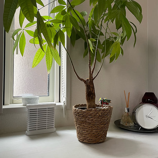 yuminnieさんの部屋