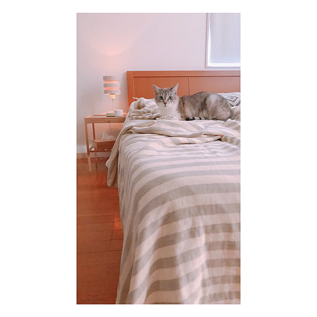 milkcocoaさんの実例写真