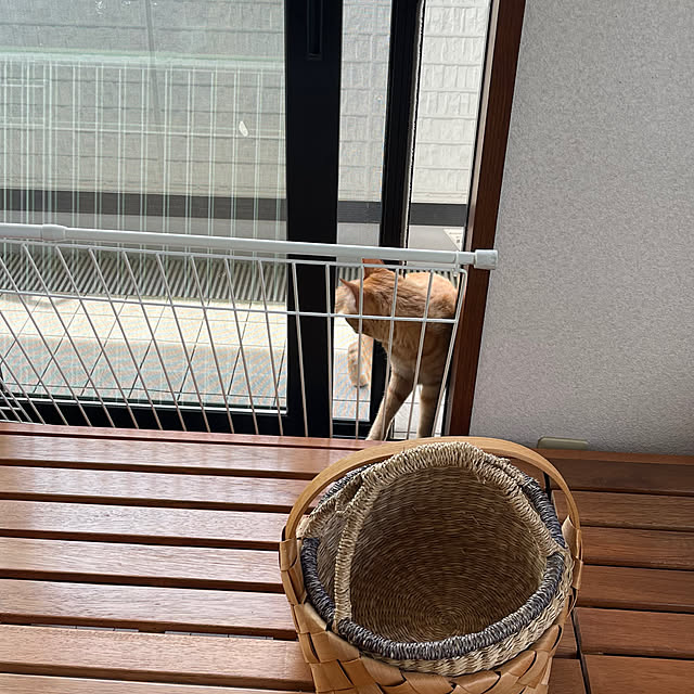 kikiさんの部屋