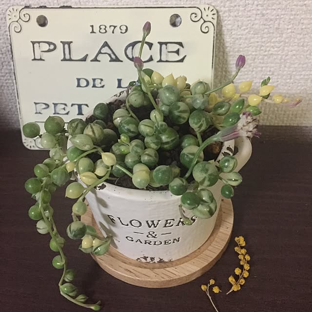 niconicoさんの実例写真