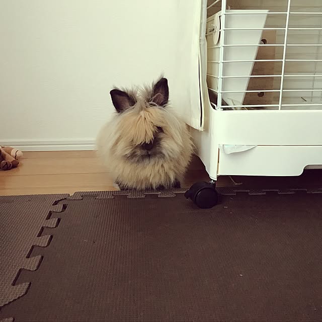 mさんの実例写真