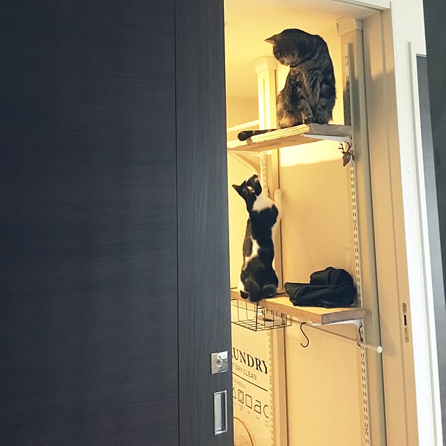 mikomaruさんの実例写真