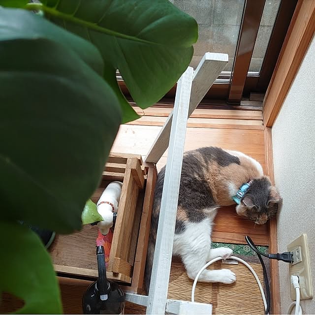 fukuさんの部屋