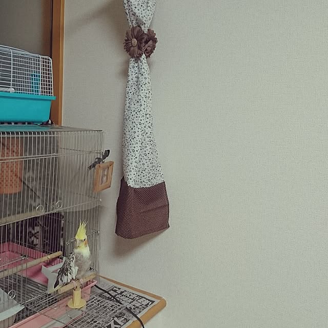 eiさんの実例写真