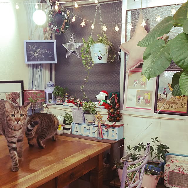 poniさんの実例写真