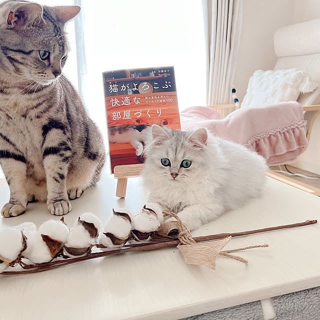 tina_sa_0さんの実例写真