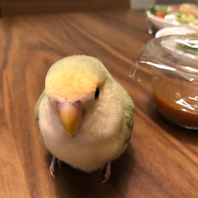 hogeさんの実例写真