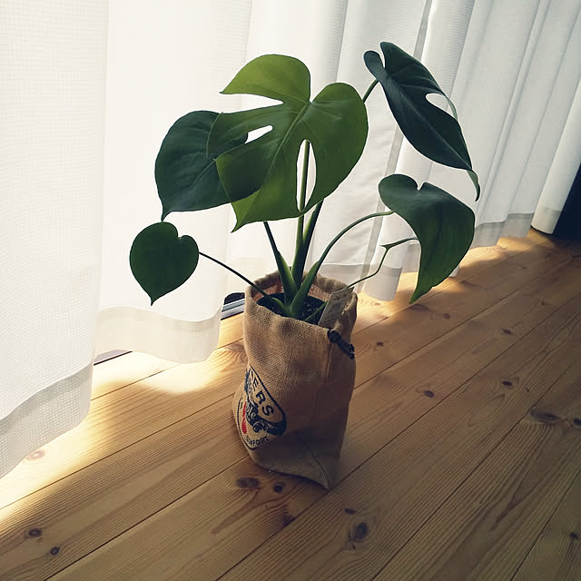 piroyuさんの実例写真