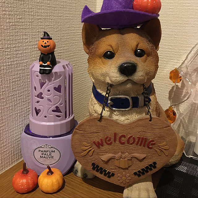 koroさんの実例写真