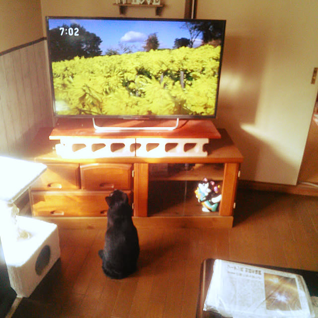 Tomopさんの実例写真