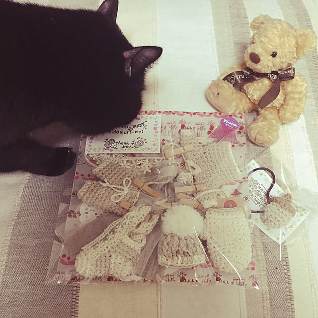soraさんの実例写真