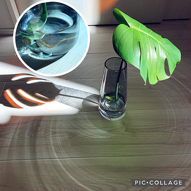 mariさんの実例写真