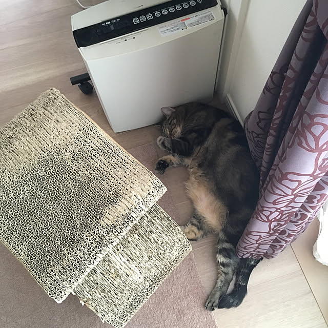 mikomaruさんの実例写真