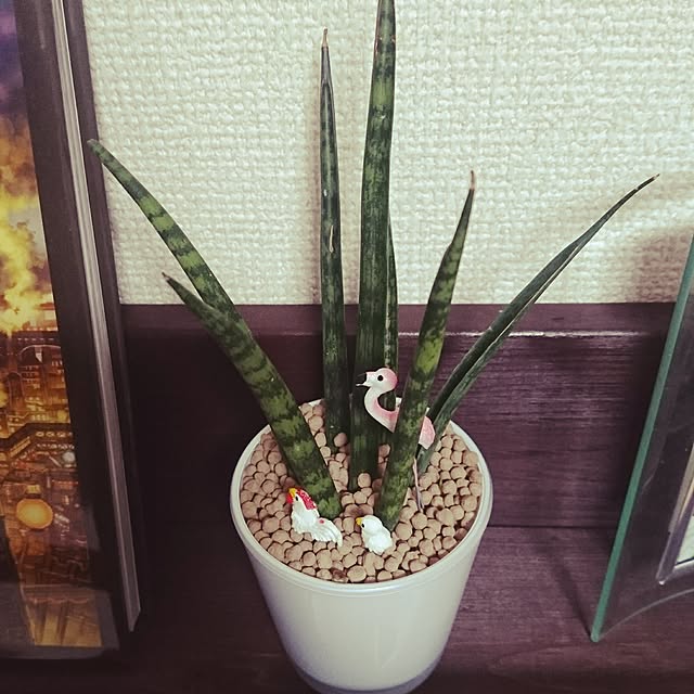 YUKIさんの実例写真