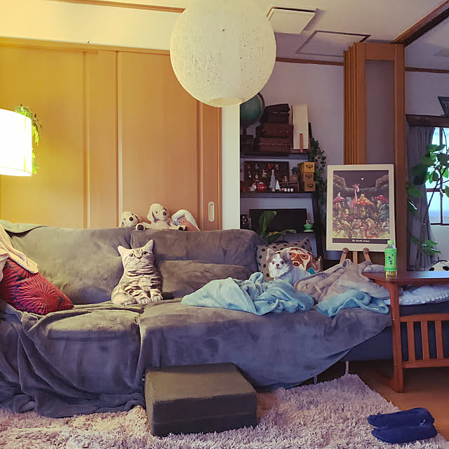 実例写真