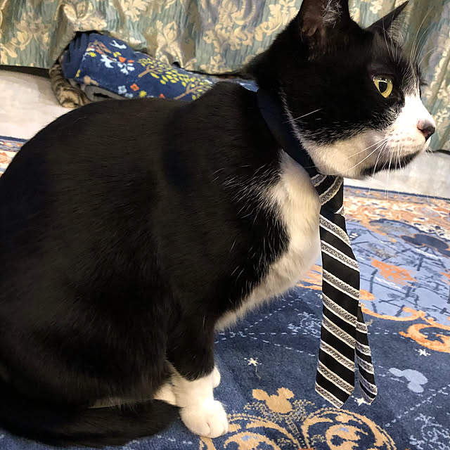 Fujikoさんの部屋