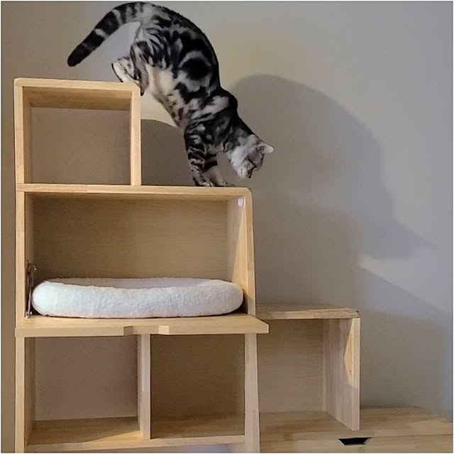 lovepeaceさんの部屋
