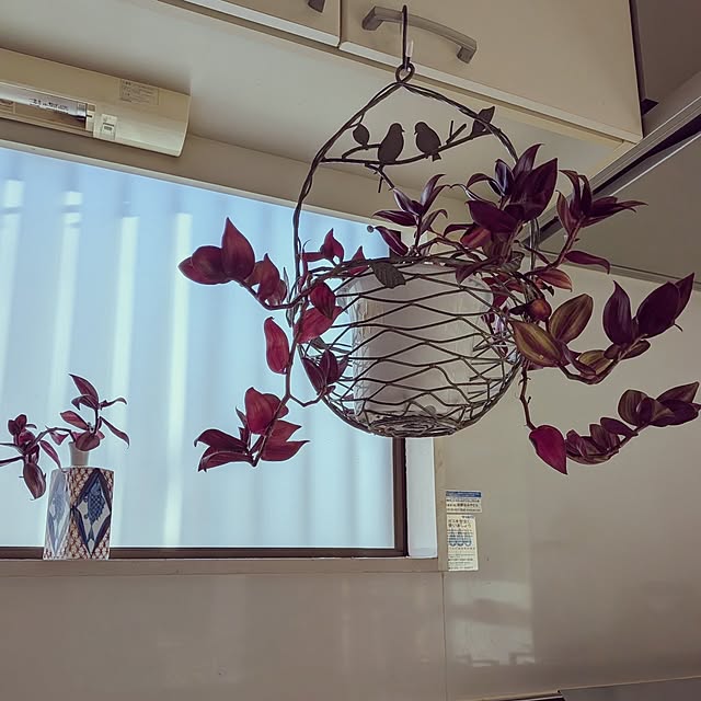 Renさんの実例写真