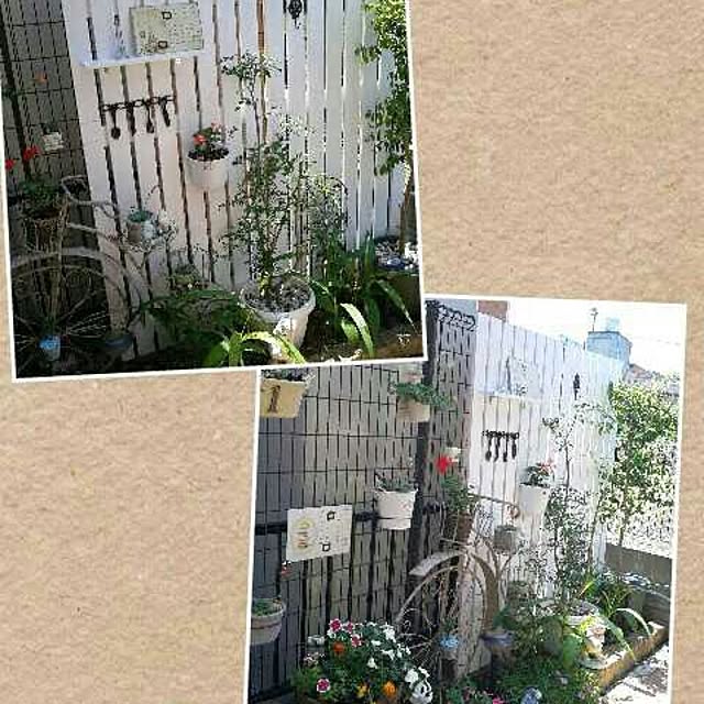 RUNさんの実例写真