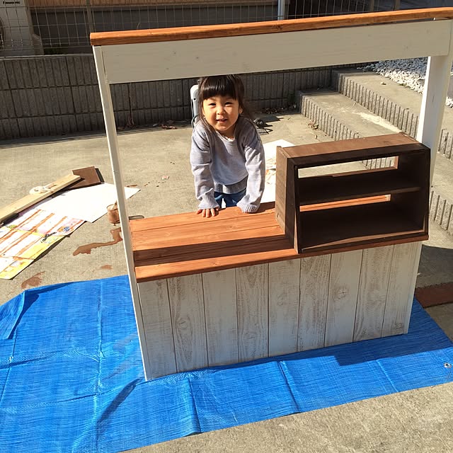 Adusaさんの実例写真