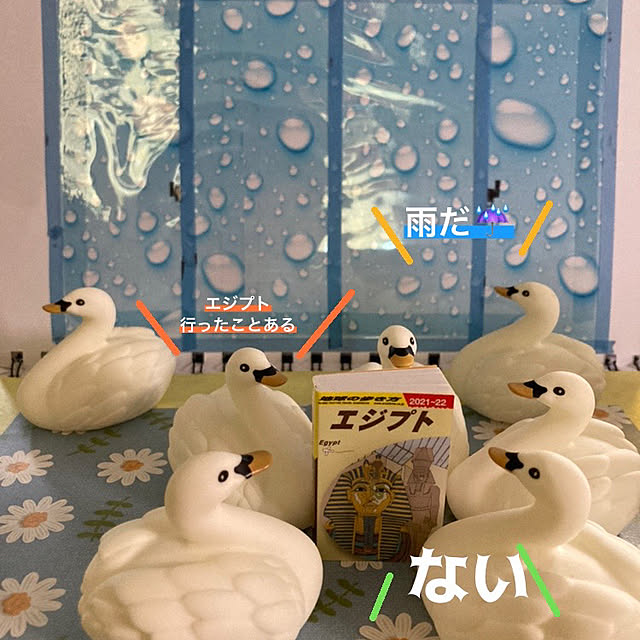 manduonmaさんの実例写真
