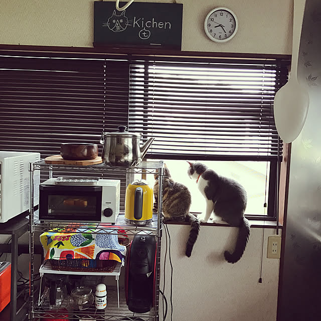 hacchiさんの実例写真