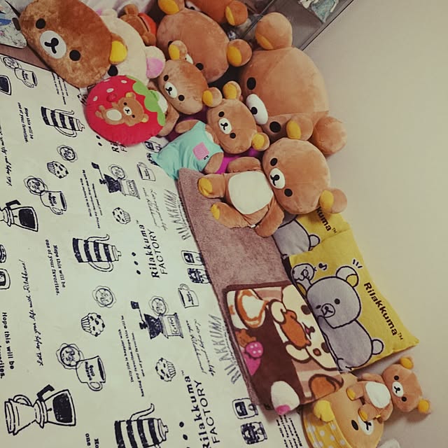 rinmarorinさんの実例写真