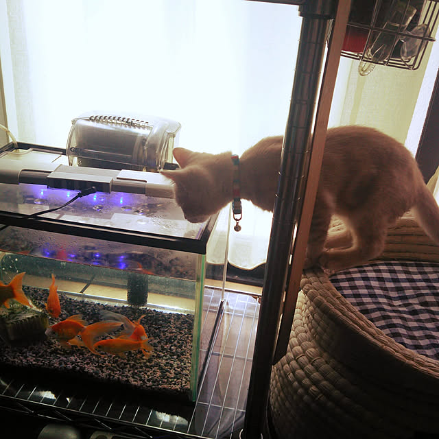 tenさんの実例写真
