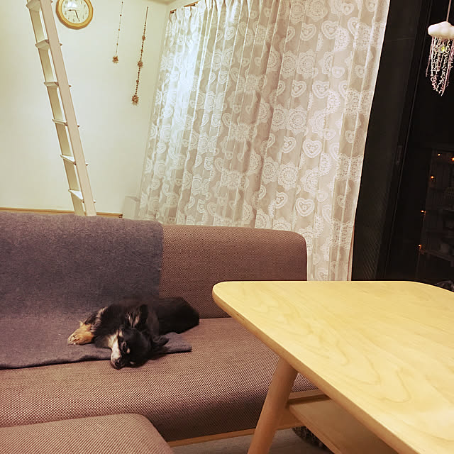 cocoさんの実例写真