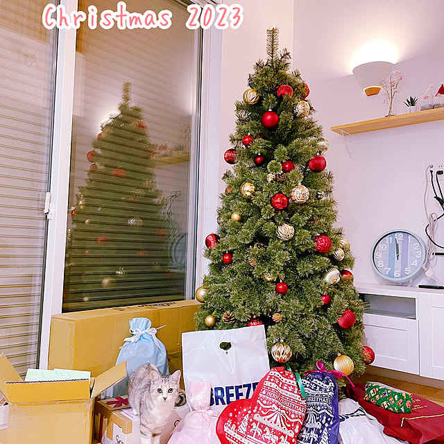 リビング/新築/クリスマス/ねこのいる暮らし/アルザスツリー180㎝...などのインテリア実例 - 2023-12-27 00:30:40