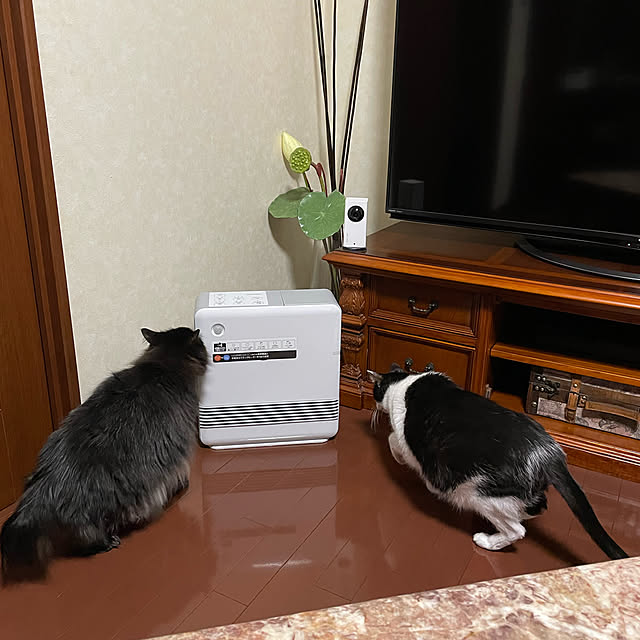 nya_sanさんの実例写真