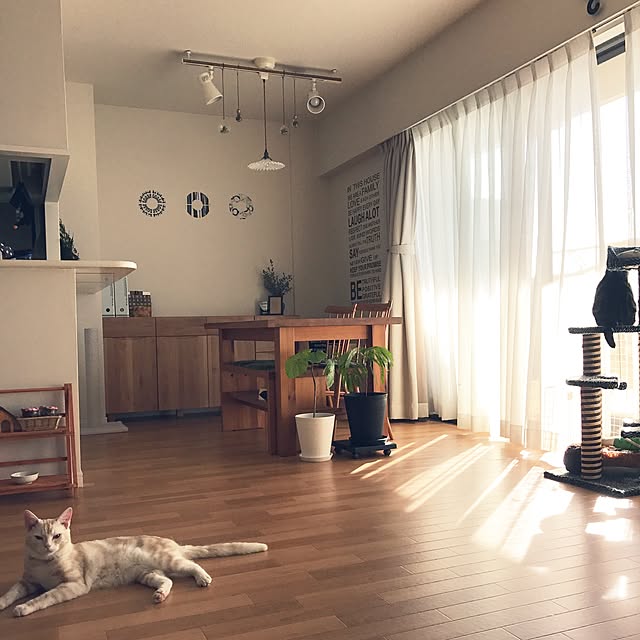 hiyupan88さんの実例写真